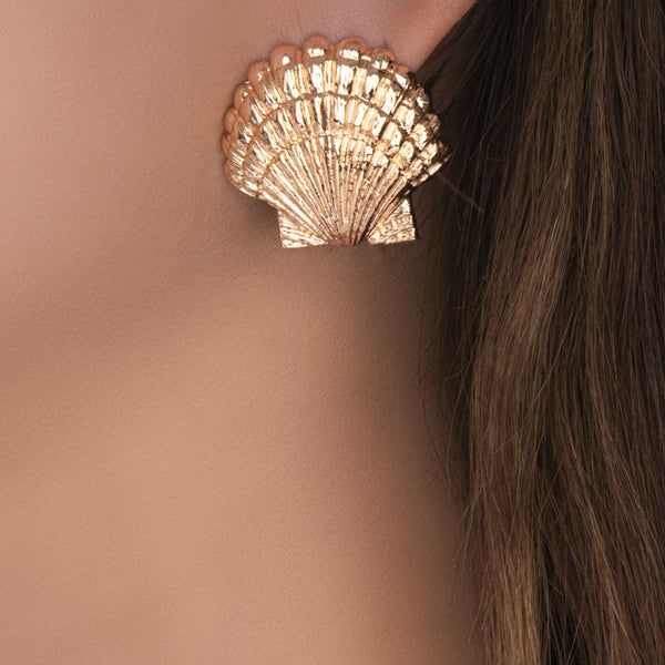 Alana Shell Earrings – Love Stylize