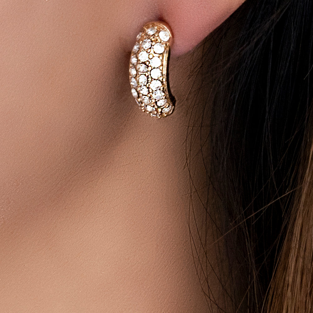 Crystal Hector Hoops